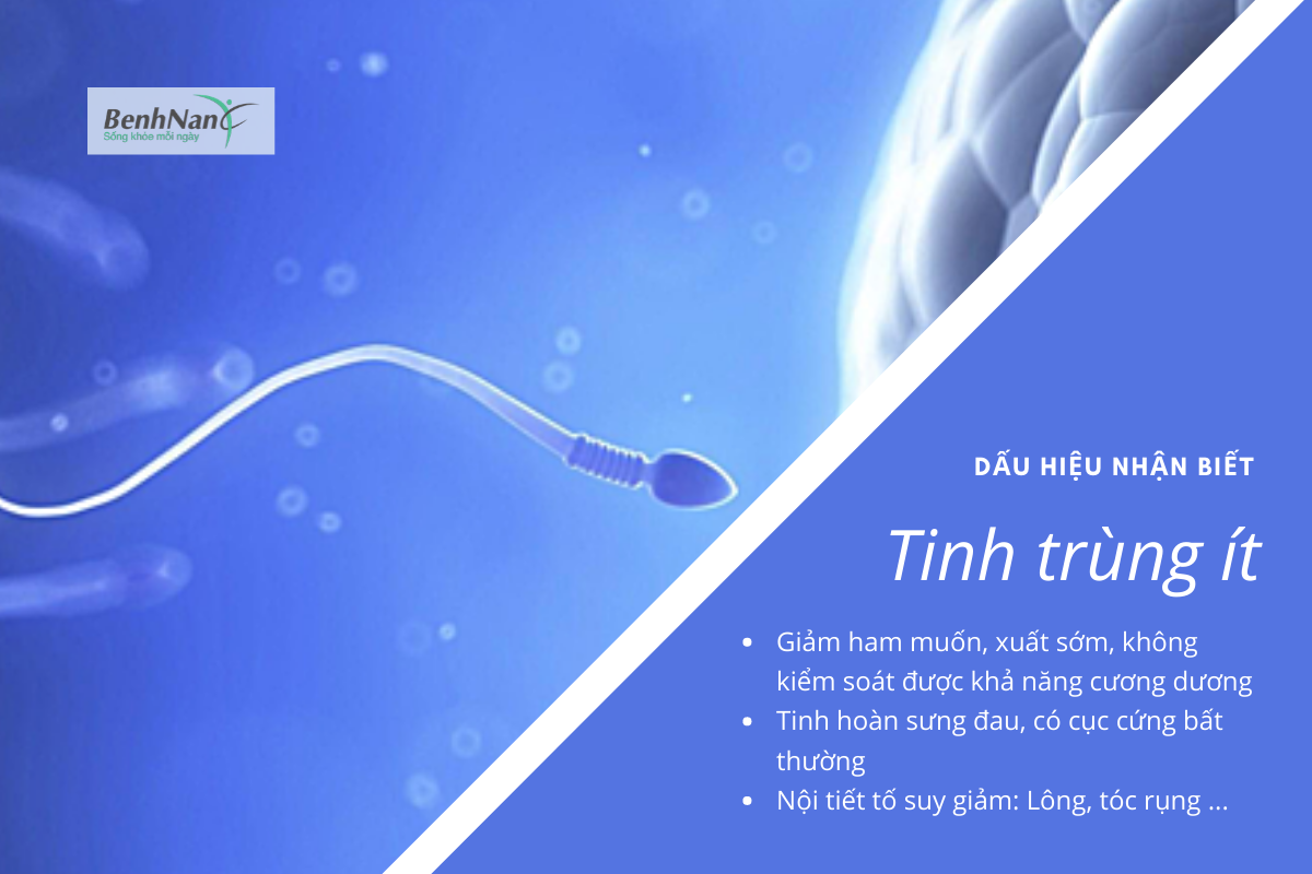 Triệu chứng của tinh trùng ít