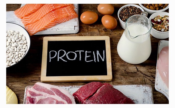 Protein dồi dào từ thịt đảm bảo môi trường phát triển của tinh trùng Protein dồi dào từ thịt đảm bảo môi trường phát triển của tinh trùng