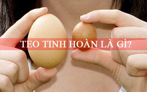 Teo tinh hoàn: nguyên nhân, biểu hiện, ảnh hưởng đối với từng độ tuổi 4 hình ảnh teo tinh hoàn