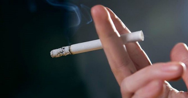 Teo tinh hoàn nên ăn gì? Lời giải từ chuyên viên nghiên cứu dinh dưỡng 3 teo tinh hoàn nên ăn gì