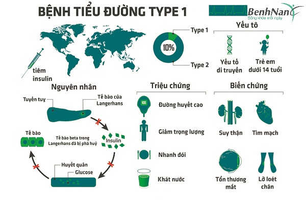 Tìm hiểu về tiểu đường tuýp 1 là căn bệnh như thế nào? 1 Bệnh tiểu đường tuýp 1
