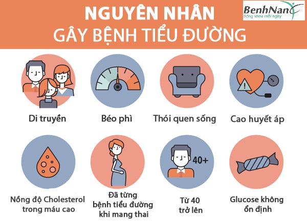 Tiểu đường type 2: Dấu hiệu, nguyên nhân, cách điều trị bệnh tiểu đường type 2 2 nguyên nhân tiểu đường tuýp 2