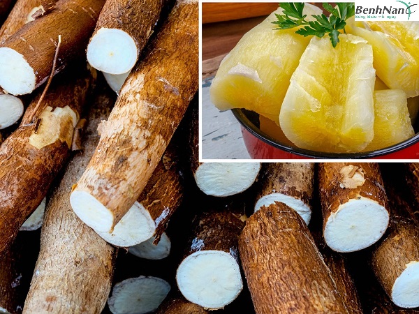 Bệnh nhân tiểu đường ăn khoai mì được không? Ăn thế nào đúng cách? 3 Bệnh tiểu đường ăn củ khoai mì được không? Ăn thế nào đúng cách?