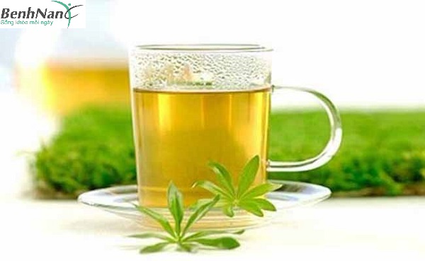 Bệnh tiểu đường uống nước gì tốt để không ảnh hưởng đến đường huyết? 4 Bệnh tiểu đường uống trà lá xoài