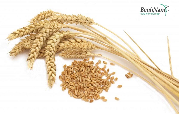Lúa mì bulgur giúp ổn định đường huyết cho bệnh nhân tiểu đường