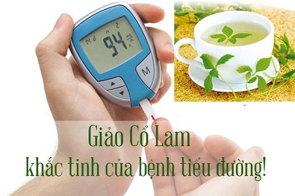 Chữa bệnh tiểu đường bằng giảo cổ lam