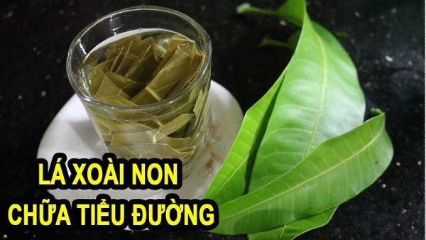 Những cách chữa tiểu đường bằng lá xoài