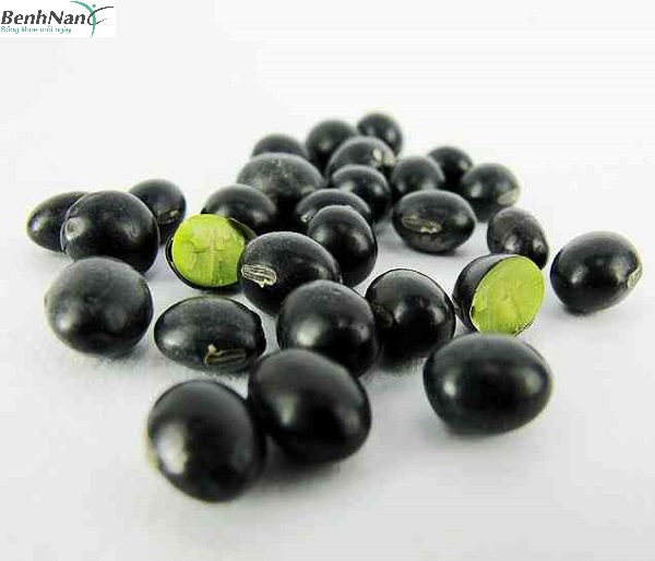 chữa bệnh tiểu đường bằng đậu đen xanh lòng