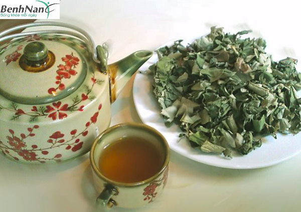 Cách chữa tiểu đường bằng lá sen