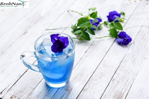 Hoa đậu biếc có chữa bệnh tiểu đường không? Tác dụng thế nào? 3 Trà hoa đậu biếc điều trị tiểu đường