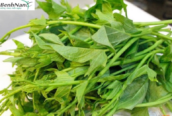 Rau lang chữa bệnh tiểu đường