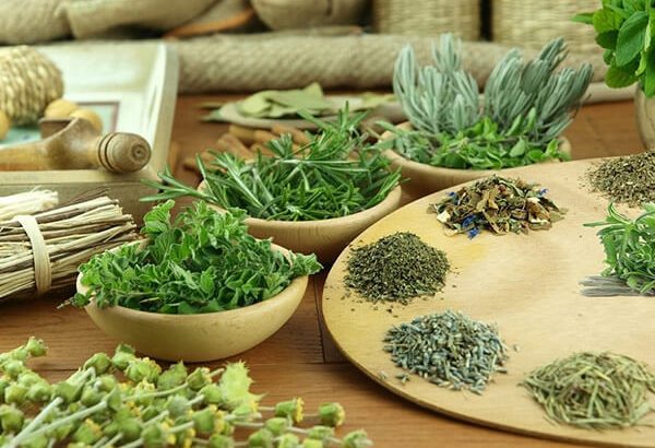 Bài thuốc nam trị tiểu đường giúp hỗ trợ giảm và ổn định đường huyết 1 Bài thuốc nam trị tiểu đường