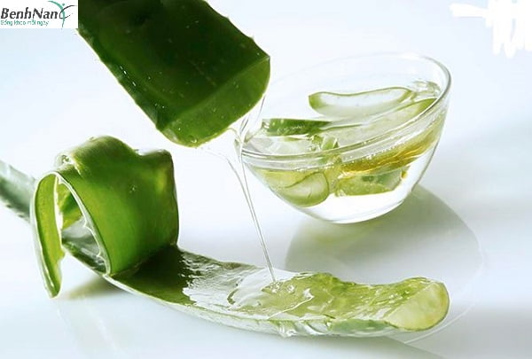 Các phương pháp chữa bệnh tiểu đường bằng nha đam 1 Công dụng chữa bệnh tiểu đường bằng nha đam