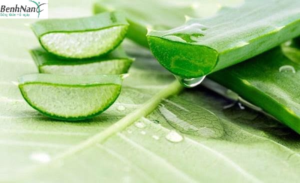 Phương pháp chữa tiểu đường bằng nha đam