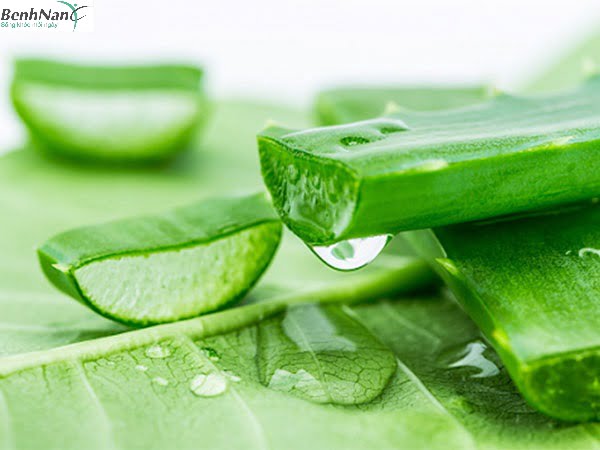 Chữa tiểu đường bằng nha đam