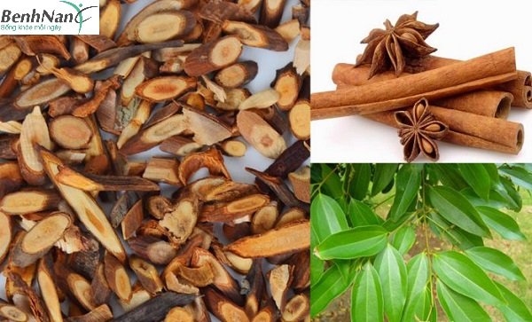 Bài thuốc chữa tiểu đường bằng quế chi