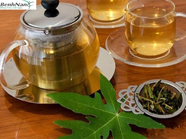 Cách chữa bệnh tiểu đường bằng lá đu đủ như thế nào? 3 Cách chữa bệnh tiểu đường bằng lá đu đủ