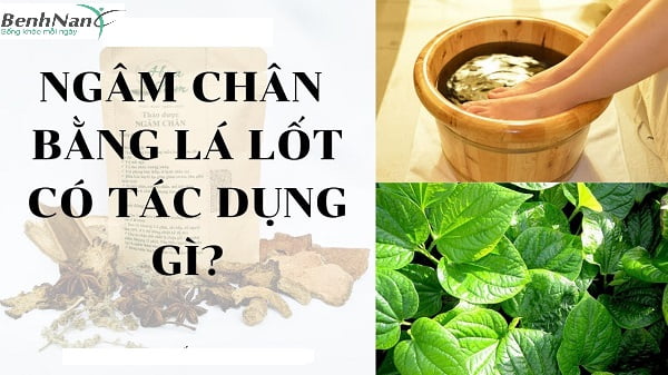 chua tieu duong bang la lot 347343