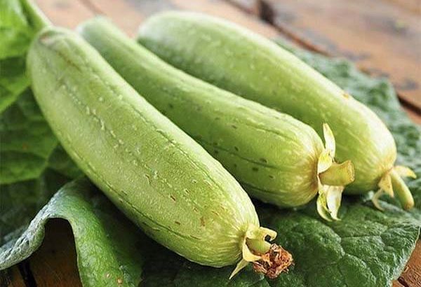 3 phương pháp hỗ trợ chữa tiểu đường bằng mướp hương 1 Công dụng của mướp hương chữa tiểu đường