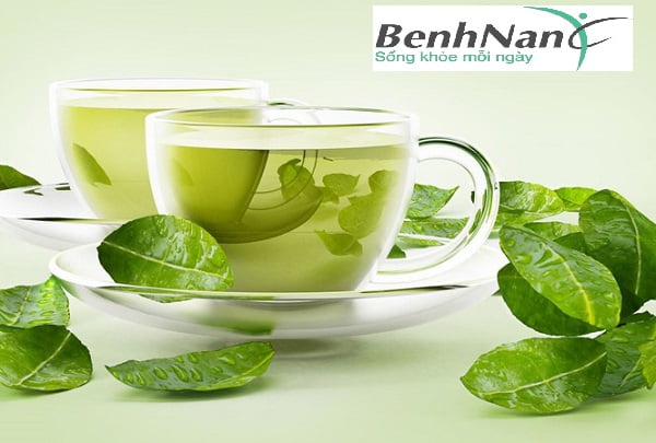 Tổng hợp các loại trà dành cho người tiểu đường cải thiện đường huyết 1 Trà xanh dành cho người tiểu đường