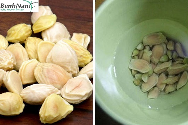 Chữa tiểu đường bằng vỏ bưởi có hiệu quả như lời đồn? 3 Chữa tiểu đường bằng hạt bưởi