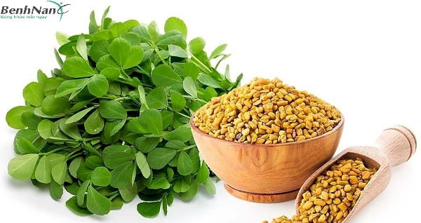 Cây cỏ cà ri chữa bệnh tiểu đường có tốt không? 1 Công dụng chữa tiểu đường của cỏ cà ri