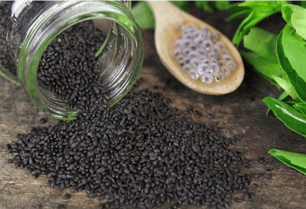 Cách sử dụng hột é trị bệnh tiểu đường cực hiệu quả 1 Hột é có công dụng giúp điều trị tiểu đường