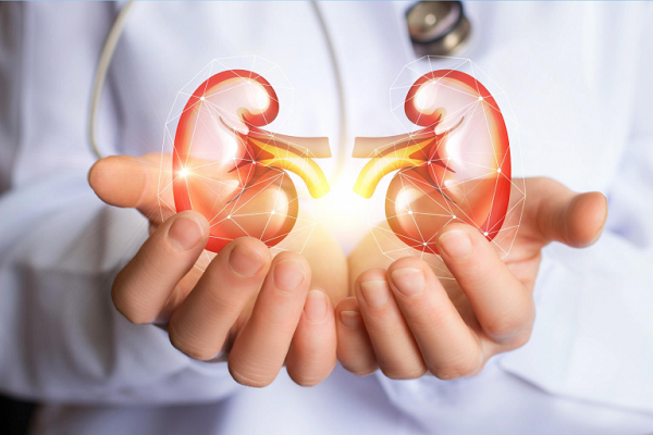 Biến chứng thận của bệnh tiểu đường: Nguyên nhân, dấu hiệu, cách phòng ngừa 2 Cách nhận biết sớm biến chứng thận của bệnh tiểu đường
