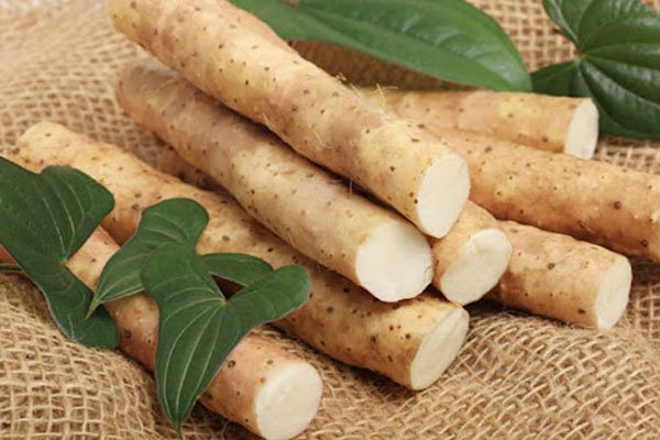 Giá trị của các cây thuốc dân gian giúp chữa bệnh tiểu đường 1 Hoài sơn (củ mài) giảm đường huyết sau ăn