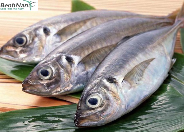 Tác dụng của việc ăn cá với người bệnh tiểu đường như thế nào? 2 Tác dụng của cá với người bệnh tiểu đường như thế nào?
