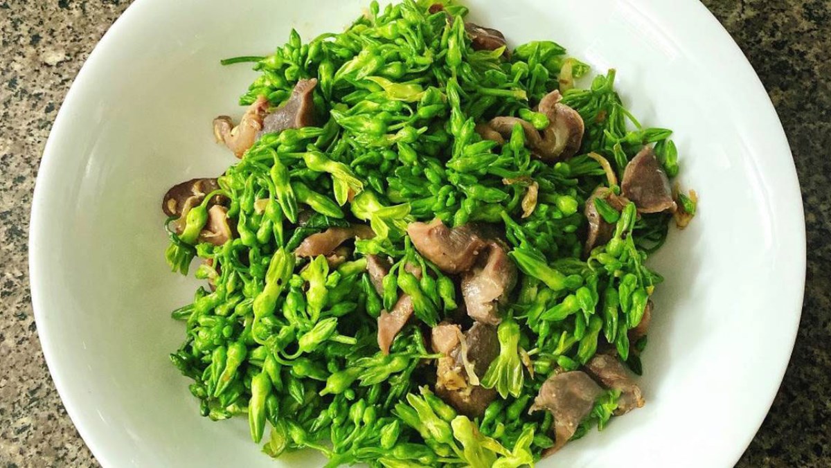 Hoa thiên lý hỗ trợ điều trị mất ngủ cực hiệu quả 2 Công dụng của hoa thiên lý