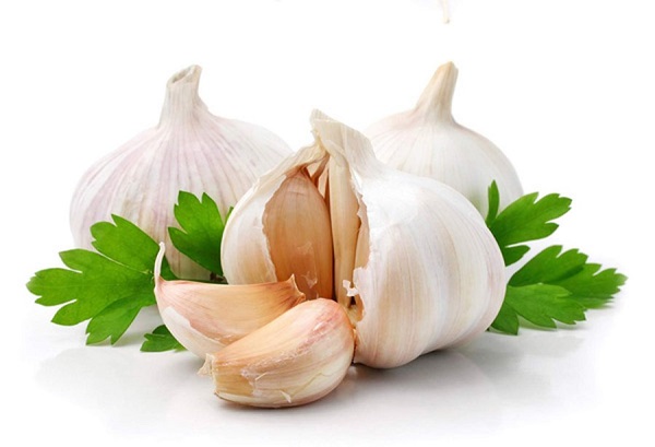 Bài thuốc Đông y chữa viêm phổi, viêm phế quản mãn tính 2 Bài thuốc chữa viêm màng phổi