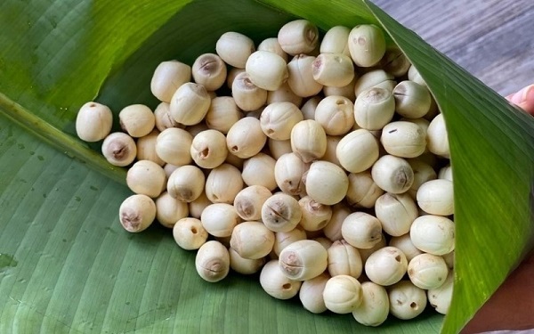Các bài thuốc Đông y chữa ung thư phổi có thể tham khảo 1 Hạt sen - bài thuốc đông y chữa ung thư phổi