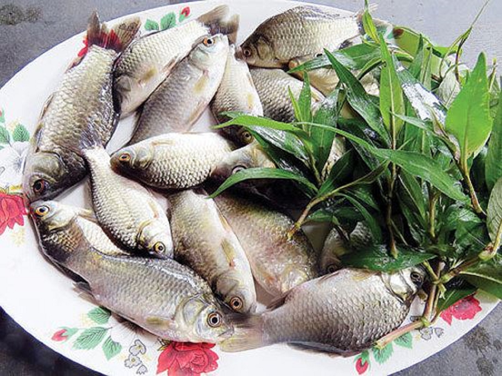 Các bài thuốc Đông y chữa ung thư thực quản hiệu quả 1 Chữa ung thư thực quản bằng cá diếc hiệu quả