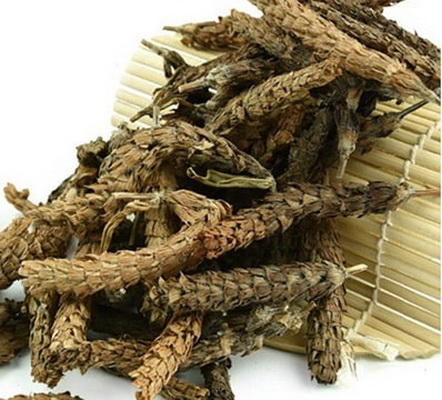 Các đơn thuốc chữa bệnh từ Hạ khô thảo cực hay 3 Chữa bệnh từ hạ khô thảo