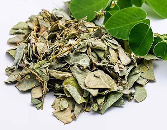 Bài thuốc chữa bệnh từ cây kim tiền thảo