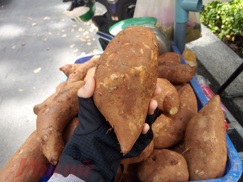 Tổng hợp các bài thuốc chữa bệnh từ củ khoai sâm 3 Lưu ý khi chữa bệnh từ cây khoai sâm