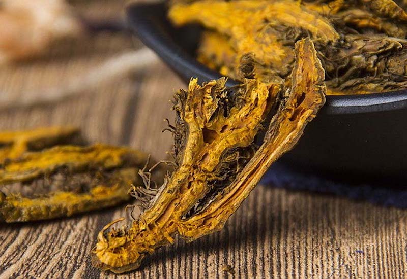 Công dụng và bài thuốc chữa bệnh từ cây hoàng liên chân gà 2 Những công dụng tuyệt vời của cây hoàng liên chân gà