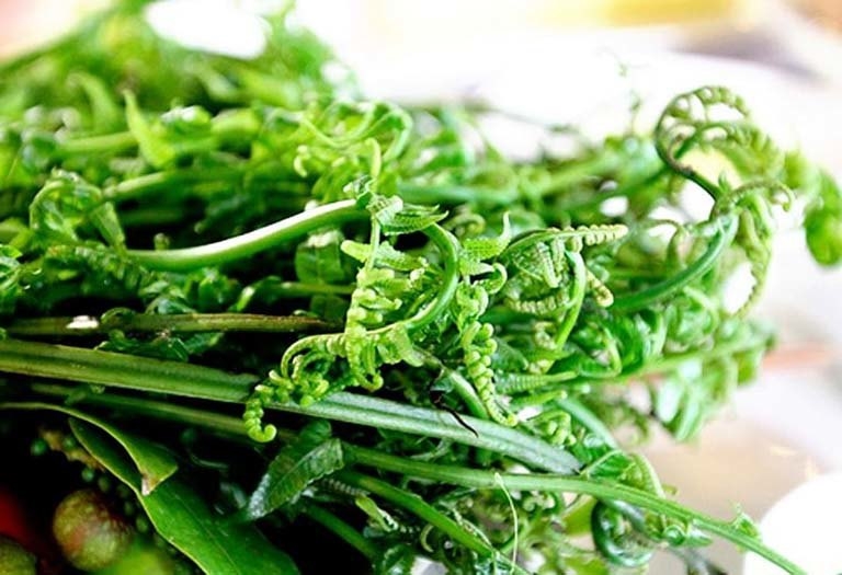 Chữa bệnh từ cây rau dớn