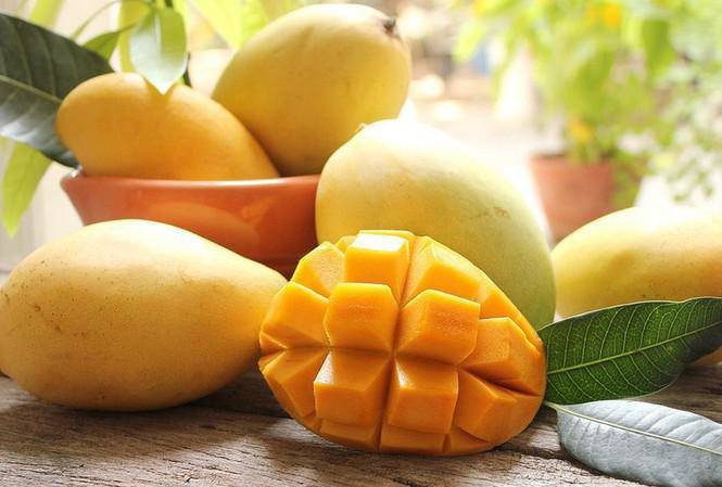 13 công dụng chữa bệnh từ quả xoài ít ai biết 1 Chữa bệnh từ quả xoài