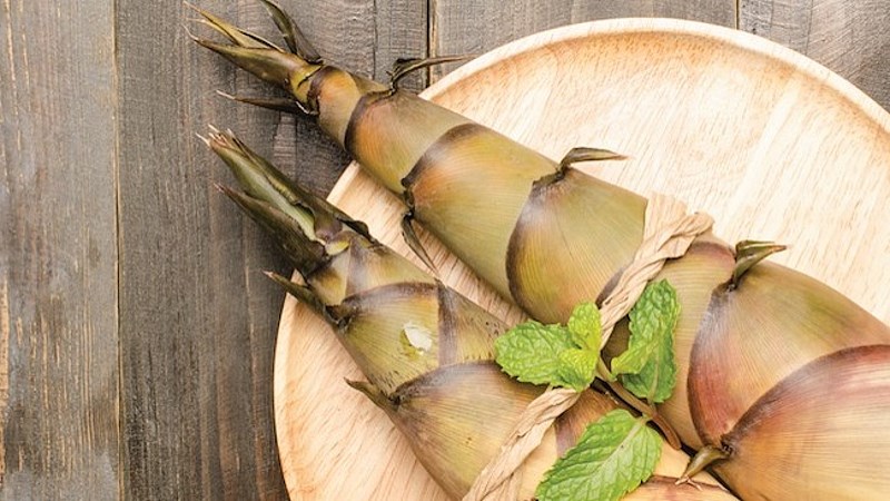 Măng tre chứa nhiều chất chống oxy hóa