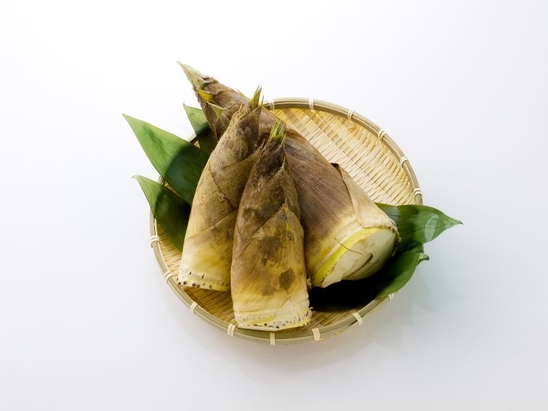 Bài thuốc chữa bệnh từ măng tre
