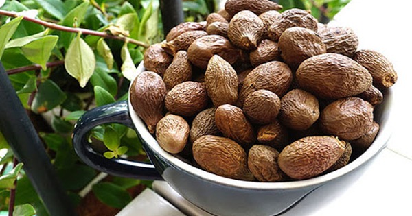 Lợi ích và các bài thuốc chữa bệnh từ quả bàng đại hải 1 Chữa bệnh từ quả bàng đại hải