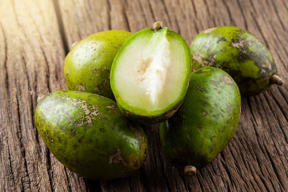 Bài thuốc chữa bệnh từ quả cóc