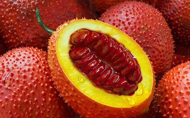Chữa bệnh từ quả gấc