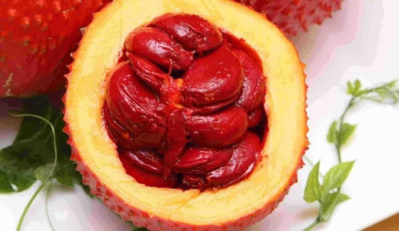 Lưu ý khi chữa bệnh từ quả gấc