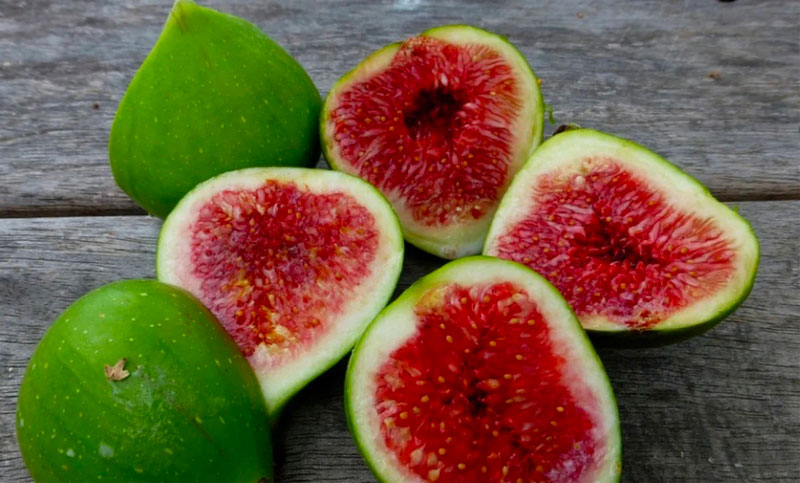 Bài thuốc chữa bệnh từ quả sung