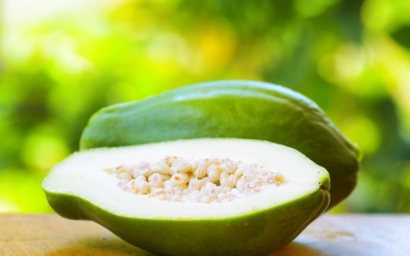 Chữa bệnh viêm khớp với một số cây thuốc trong vườn nhà 1 Chữa bệnh viêm khớp từ đu đủ xanh