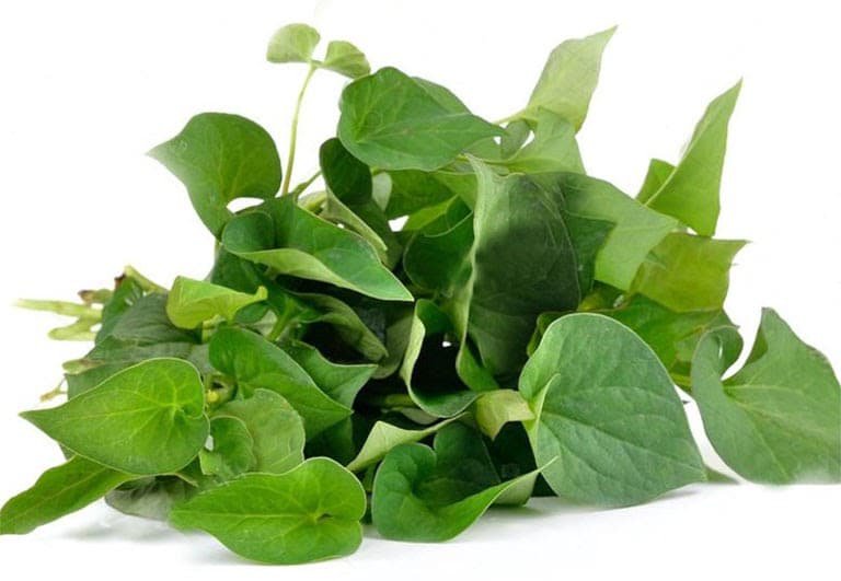 Bài thuốc chữa rôm sảy từ rau diếp cá