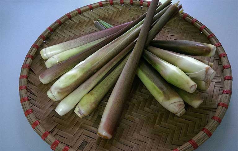 Các bài thuốc dân gian chữa bệnh từ củ niễng hiệu quả 1 Công dụng chữa bệnh từ củ niễng